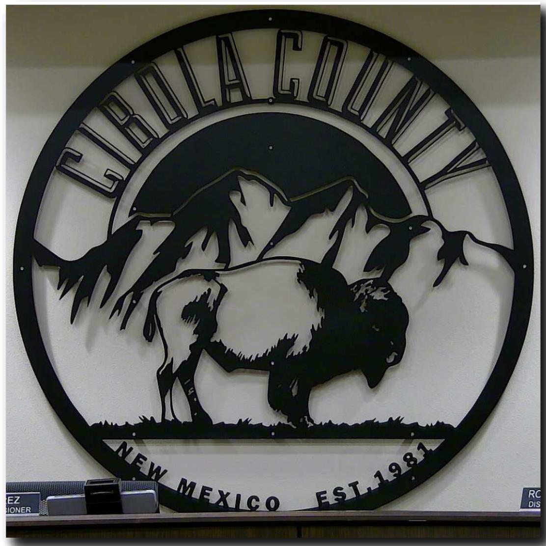 Are there still Bison in New Mexico? | Cibola Citizen
